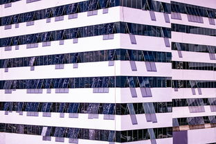 九游网页官网-体育新闻中心推进体育智库体系建设，体育专题报道